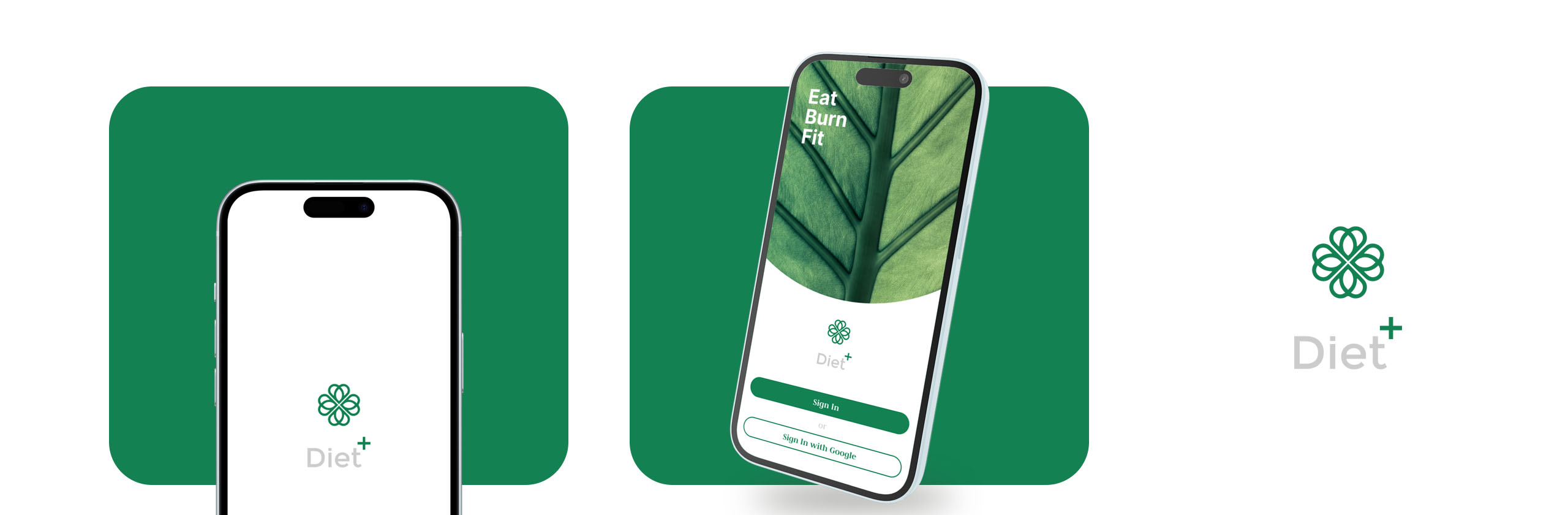 Diet - UI UX Design Case Study Main Interface