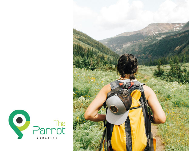 Parrot Vacation - Branding UI Design Screenshot 2